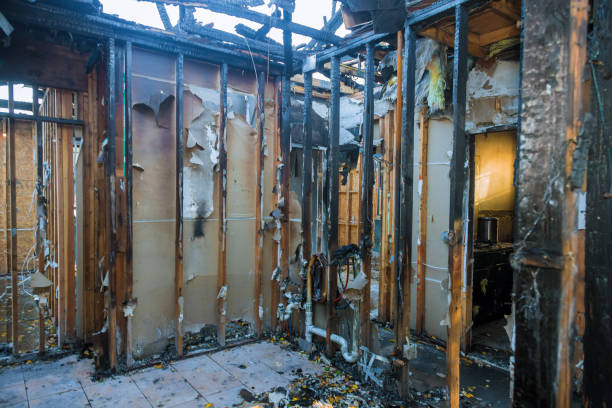 Professional Fire Damage Removal technician working in Three Points, AZ